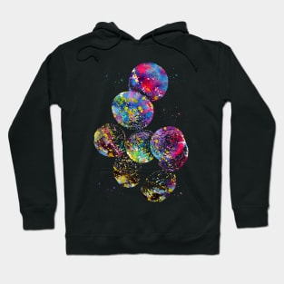 Staphylococcus aureus Hoodie